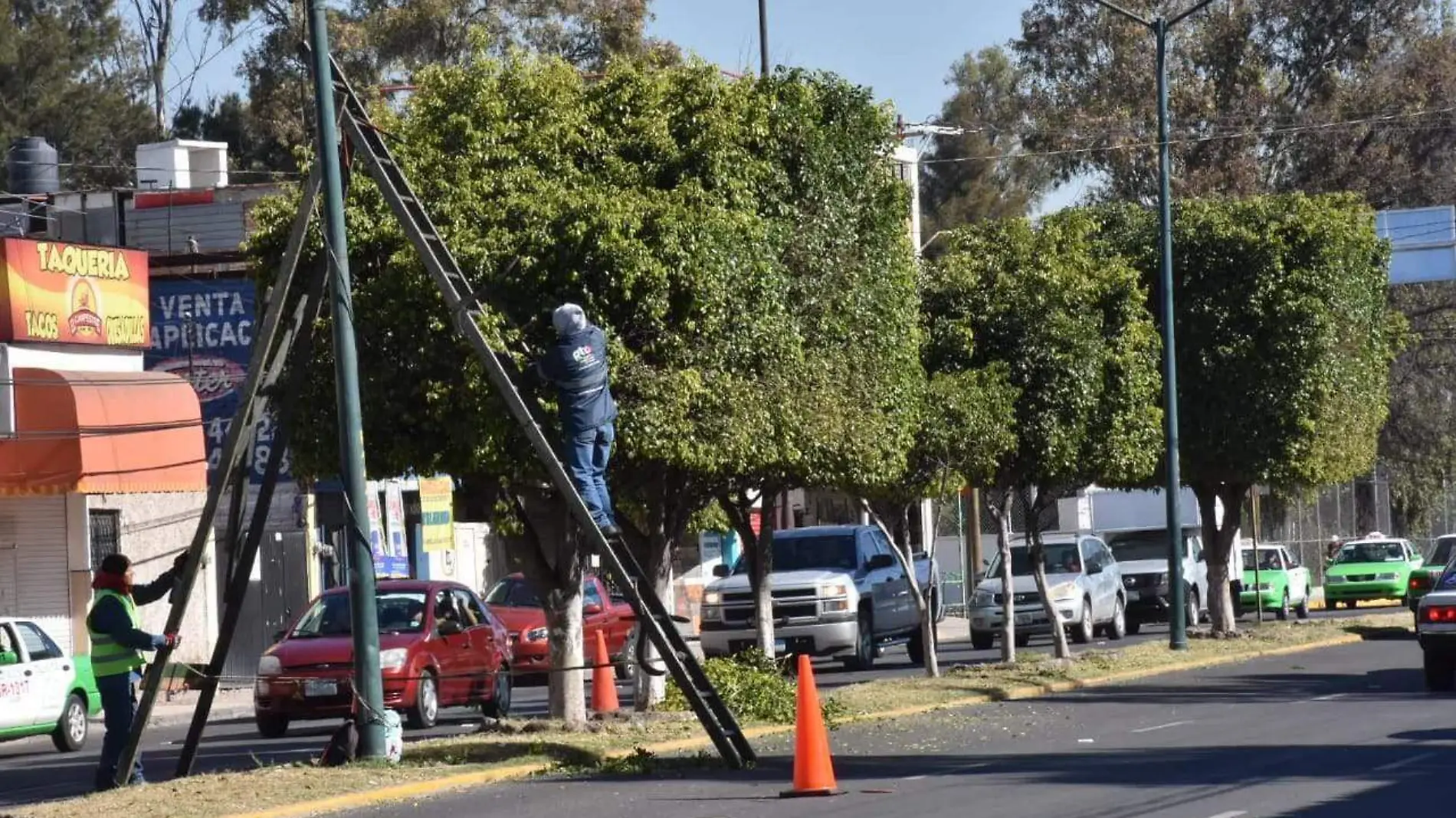 Servicios Públicos 1